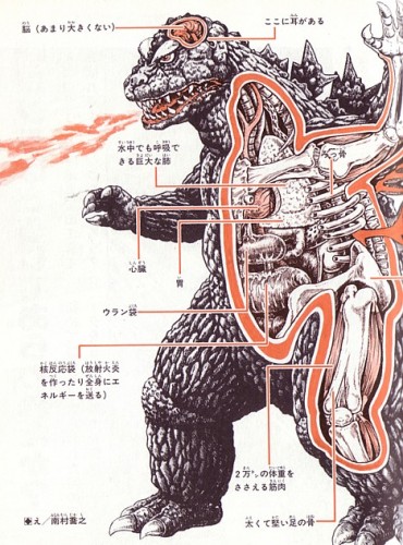 anatomy_godzilla