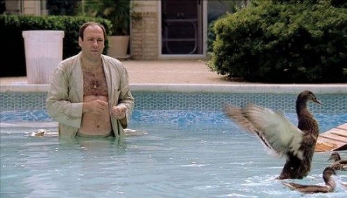 James-Gandolfini-Tony-Soprano-ducks-550x314 (1)