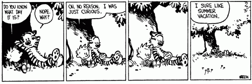 calvin-vacation-1