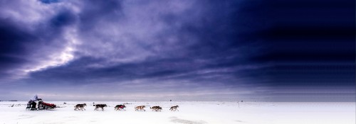 otl_iditarod_01b_2000x700