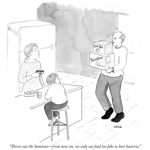 daily-cartoon-150410-sabra-hummus-1200 (1)