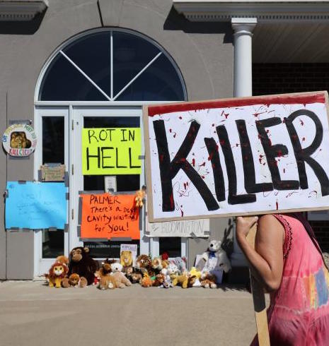 cecil-lion-protest
