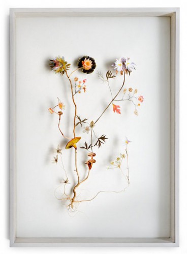 DesignSponge_Anne5-500x679