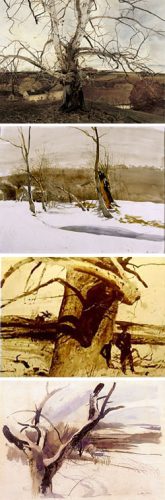 wyeth_250